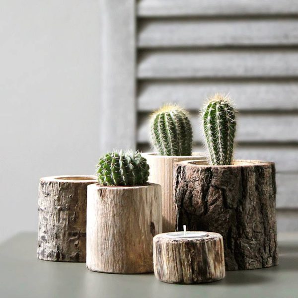 Original Tree Trunk Pots Set