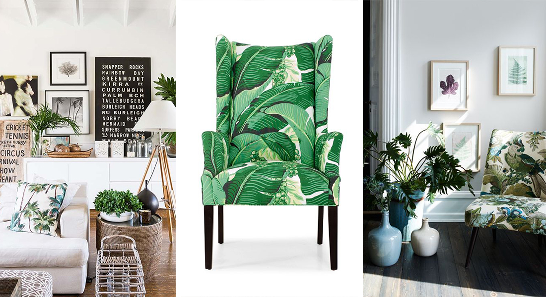 Bring the tropics into your home